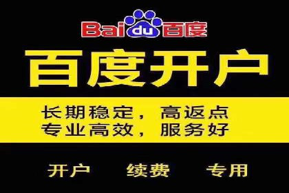 百度推广费用投入与用户转化路径的优化案例